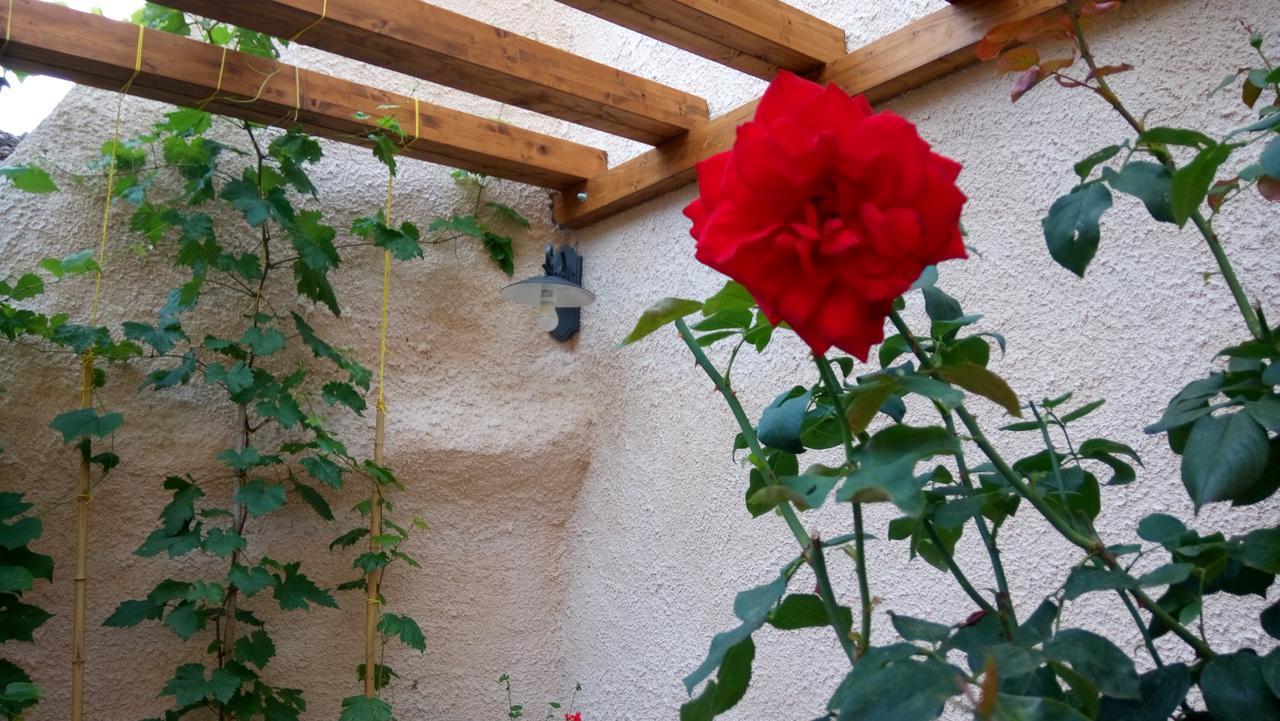 B&B A Casa Di Nonna Massa d'Albe Exterior photo